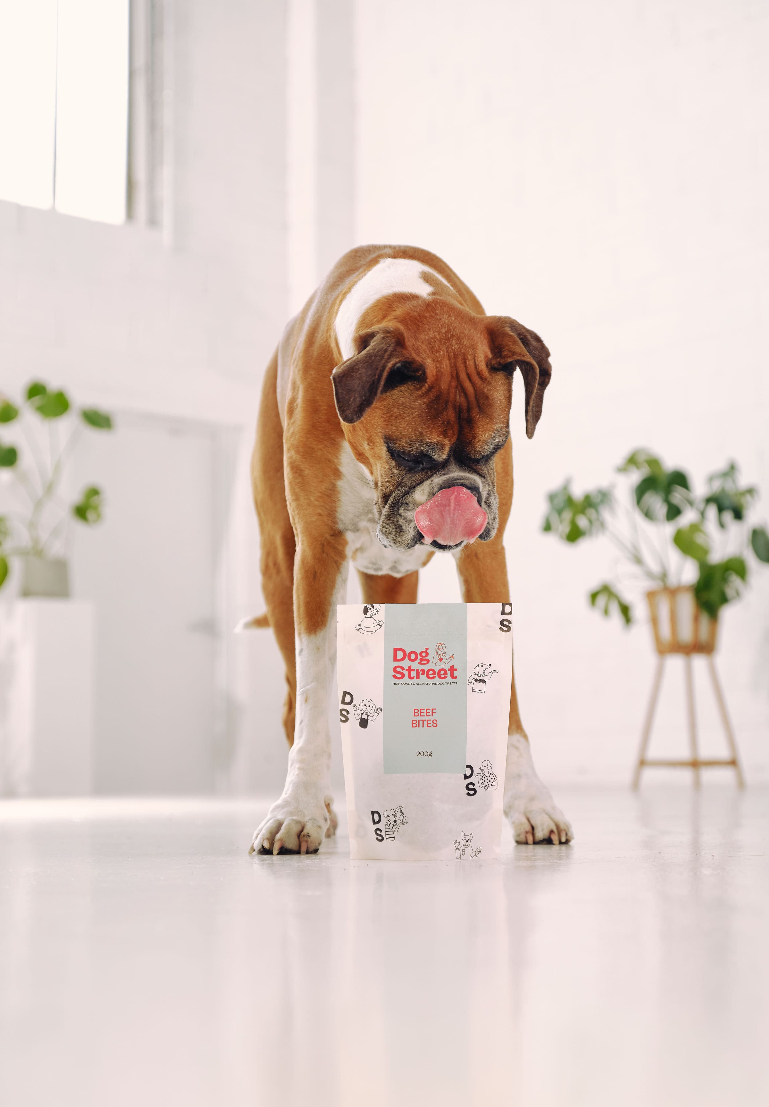 A boxer standing over a pack of Dog Street Beef Bites, licking his lips. 