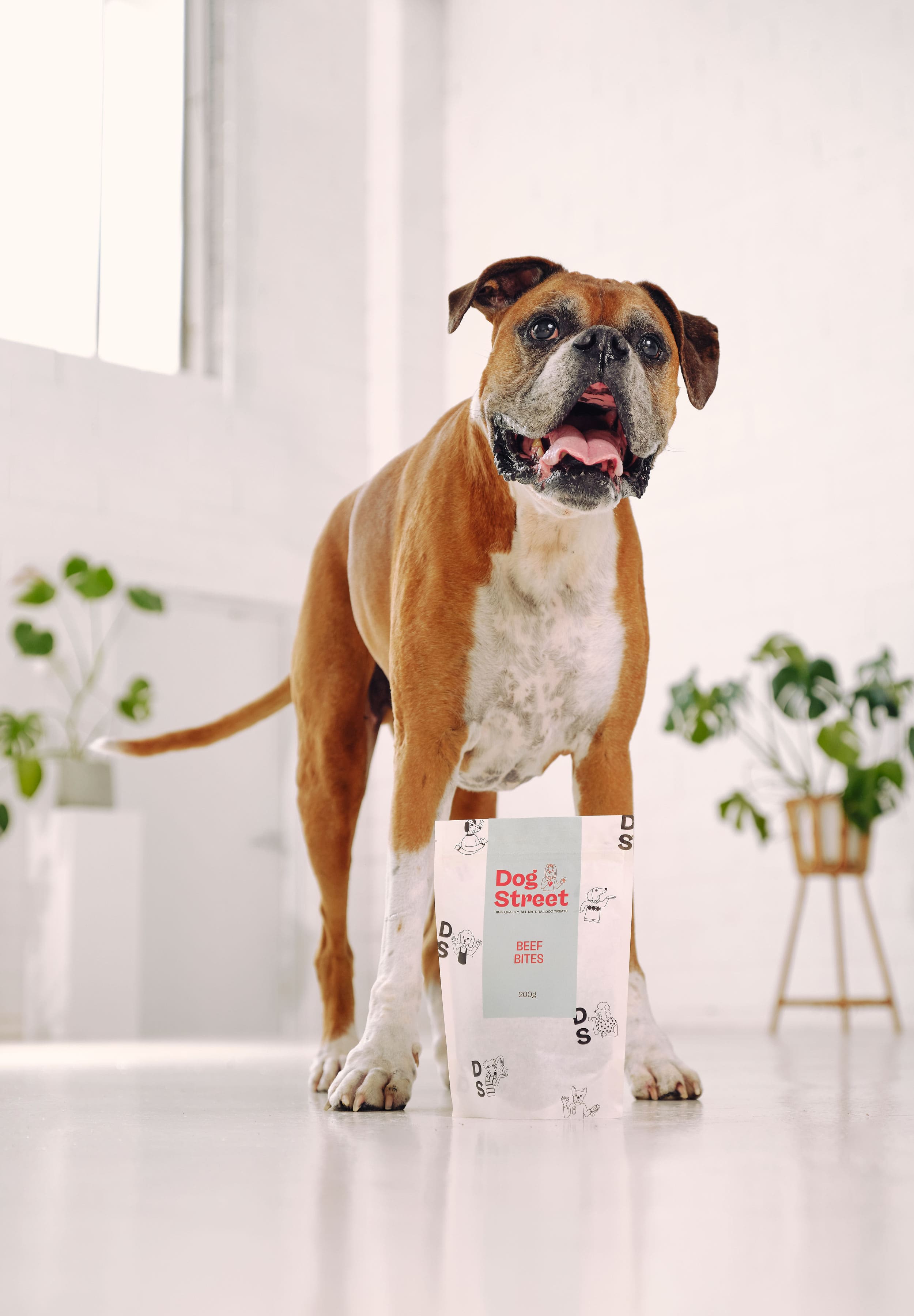 A boxer is standing over a pack of Dog Street Beef Bites. 