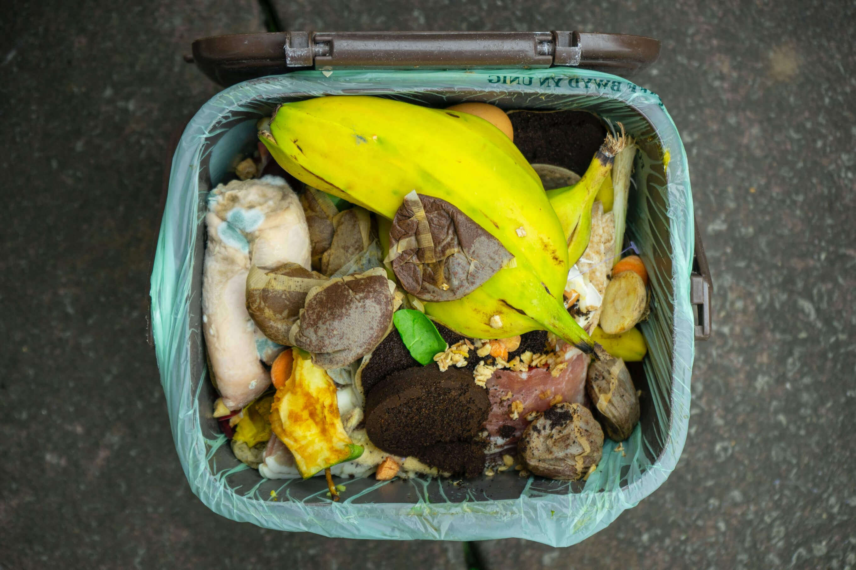 A compost bin. 