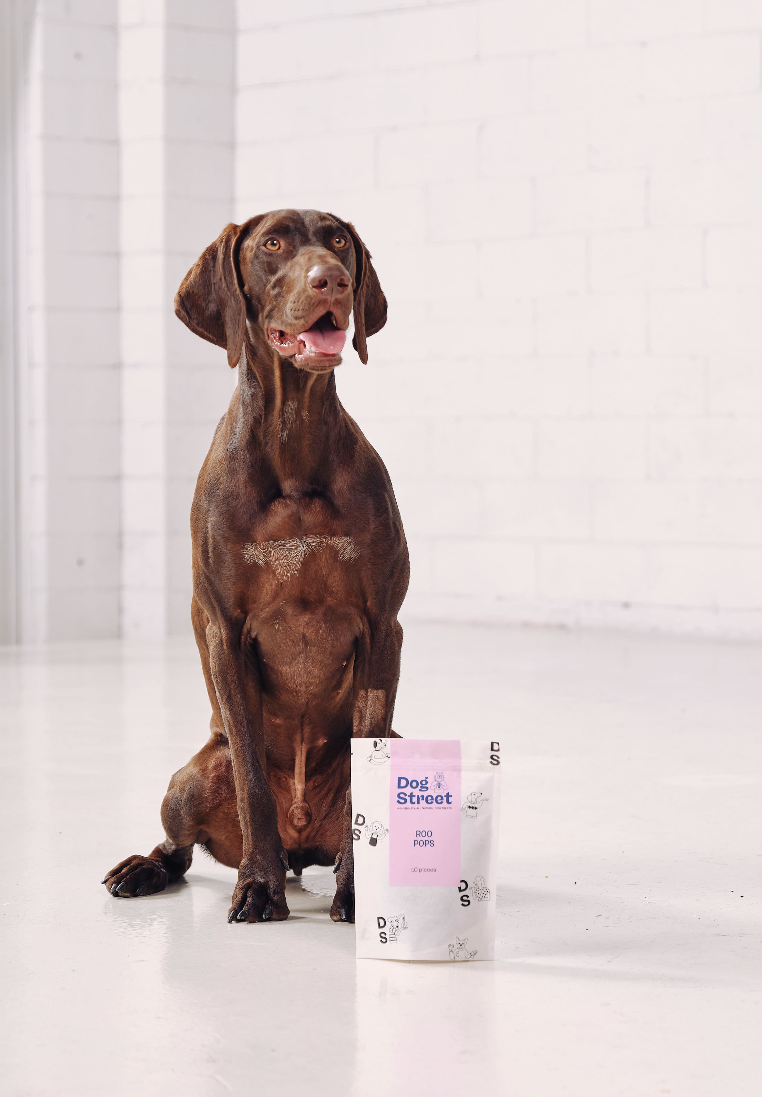 A German shorthaired pointer is sitting next to a pack of Dog Street Roo Pops.